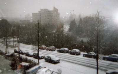 winter.jpg