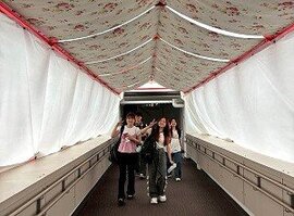 海外研修（韓国）報告 その1