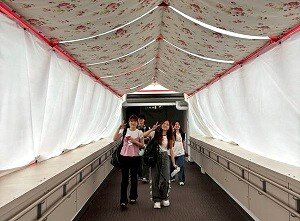 海外研修（韓国）報告 その1