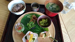 matatabi22-5.jpg