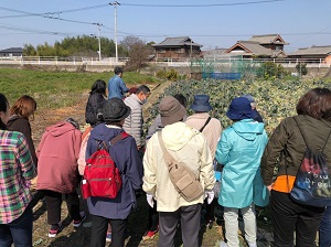 matatabi30-1.jpg