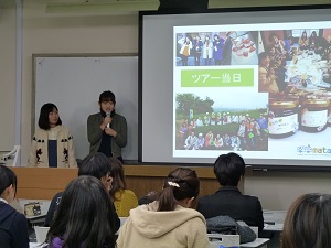 またたび