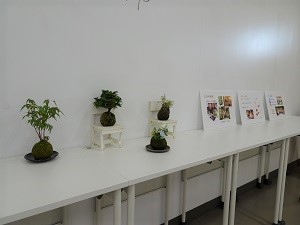 プロジェクト