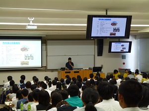 直島Ｐの紹介