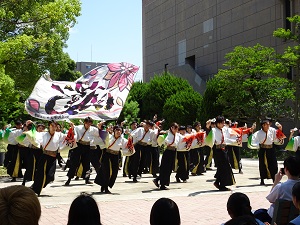 よさこいサークル