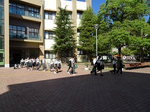 ツアー