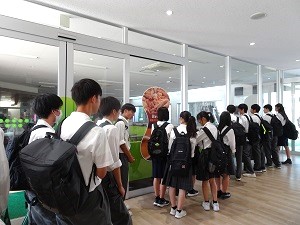 ツアー