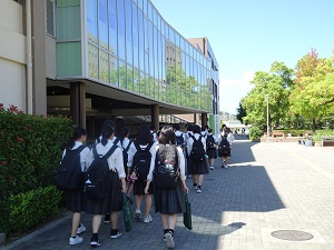 ツアー