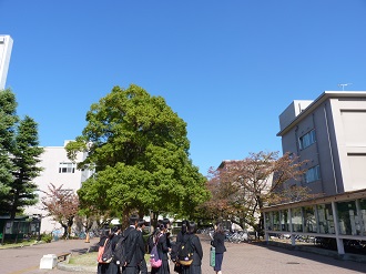 学部掲示板前で