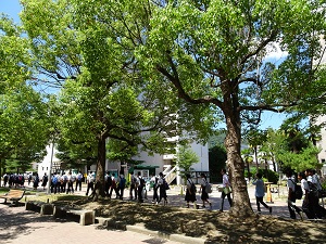 経済学部へ