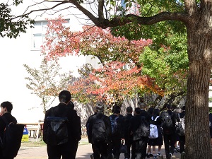 経済学部